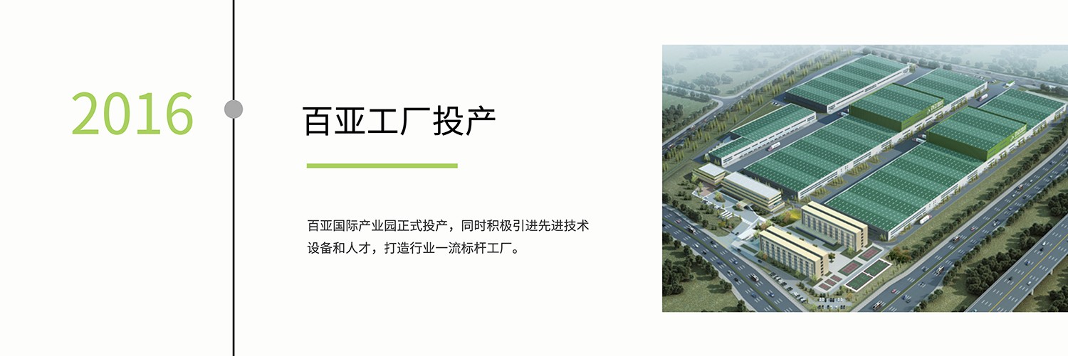 百亚股份